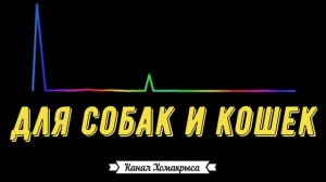 Собака смешно гавкает для котов, кошек и собак Лай собаки Лающая собака  Звук собаки Лай собаки зву