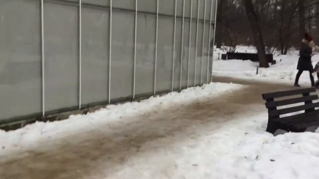 Ботанический сад МГУ аптекарский огород