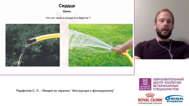 Перфилов С. П. - Лекция по терапии: “Инструкция к фонендоскопу” смотреть онлайн