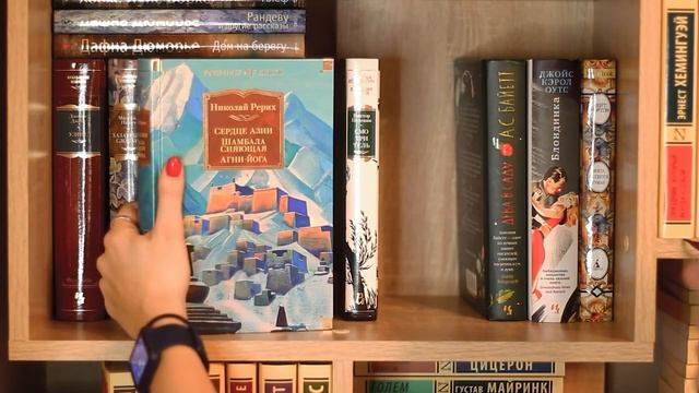 мои книжные полки 2023 // организация книжных шкафов