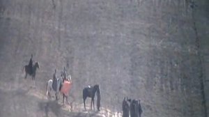 Первая Конная