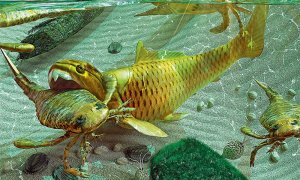 _ЧТО НАХОДИТСЯ ПОД МОСКВОЙ???? ДЕВОНСКОЕ МОРЕ_