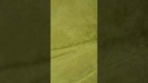 сравнение саунд модератора Бегемот Леший 2 - 6, 35