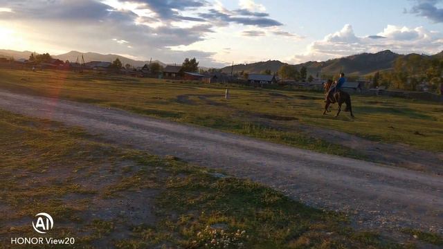 Обучение лошади Республика Алтай смотреть онлайн