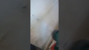 Испытание Bosch PFS 5000 E