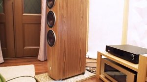 Что умеет DALI Rubicon 8 за 5700$ ? (400 тыс руб)