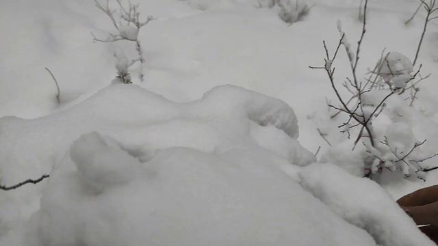 10 дней в тайге зимой на охоте в Сибири 8 день смотреть онлайн