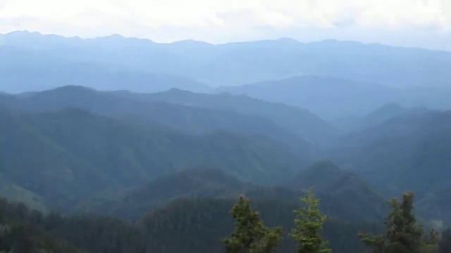 супер виды смотреть онлайн