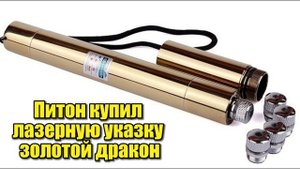 Питон купил лазерную указку - золотой дракон