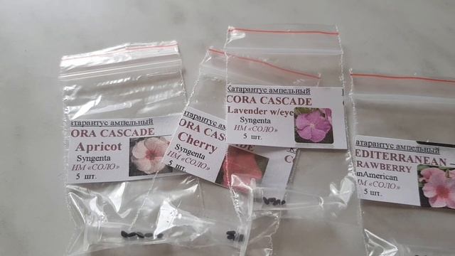 Проф семена из магазина Соло /распаковка посылки