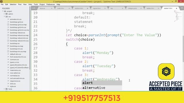 Switch statement program example in java script