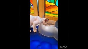 1000014954.mp4