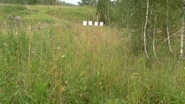 Войлочный пыж - на все времена! смотреть онлайн