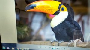 Коллаж из газет и журналов