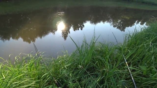 Жесть! Огромная плотва на диких местах!!! Поселок Подтесово. Река Чермянка.