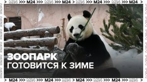 Московский зоопарк показал, как готовится к зиме - Москва 24