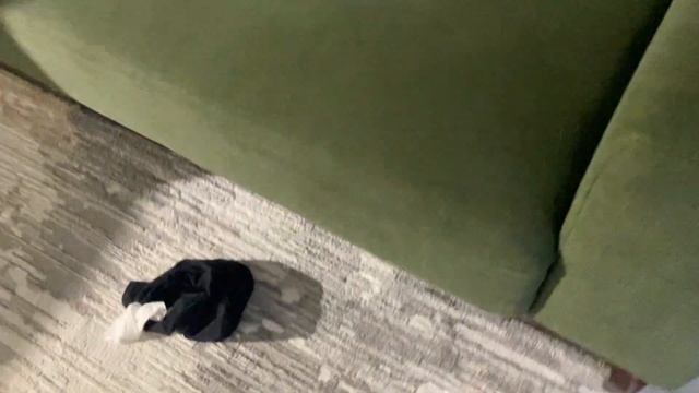 Влог смотреть онлайн