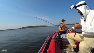 Ловля окуня на Волге, рыбалка на спиннинг осенью