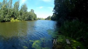 Река Сестра