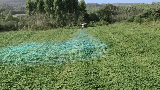 DJI - Agras T16 - Agricultural Spraying Drone