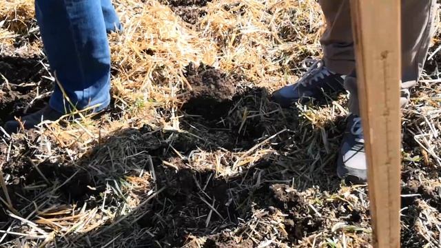 Плуг чизельный ПЧ-4,5 со стойкой параплау смотреть онлайн