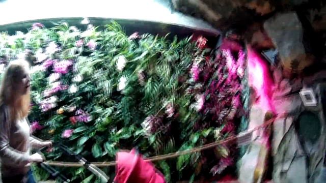 Приморский Океанариум - 🐰 Приключения Малышки 🐰 смотреть онлайн