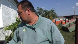 Самая надежная поилка для пчел