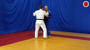 Задняя подсечка (ко-сото-гари/ko-soto-gari)