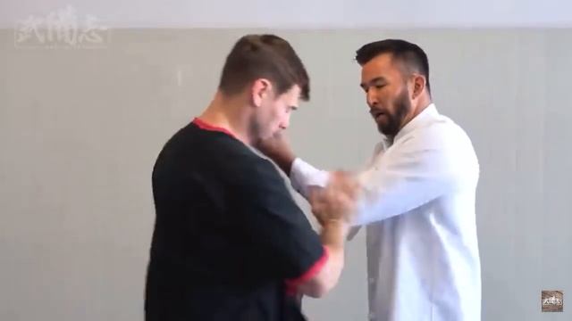 Wing Chun chisau sticking hands explained смотреть онлайн