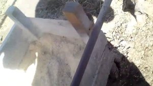 Сено и солома на откорме телят и быков.