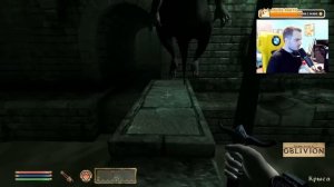Мэддисон серьезно взялся за The Elder Scrolls IV: Oblivion