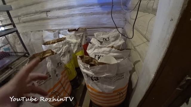 Бройлеры выращивание / Полная инструкция для новичков