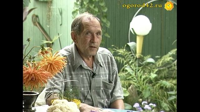Удивительный сад и продуктивный огород (светлой памяти хорошего человека)