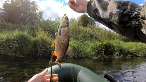 Нахлыст на  р. Днепр. Сплавная рыбалка по голавлю.