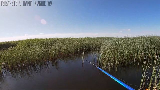УШЕЛ ПОДАЛЬШЕ ОТ ГОРОДА\РЫБАЛКА НА ЗЕМСНАРЯДЕ\Рыбалка 2020 Казахстан Кокшетау