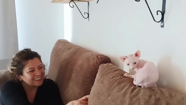 SOYUP SOĞANA CEVİRMİŞLER ?GOLLUM YÜZÜKLERİN EFENDİSİ HOBİT KORKUNÇ DAKİKALAR ‼️sfenks ?