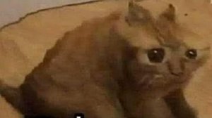 Oh no cringe 10 hours