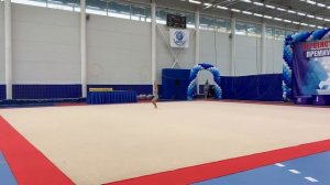 Арина Лебедева 2011 БП