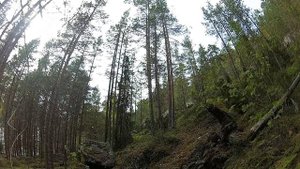 Беломорский берег