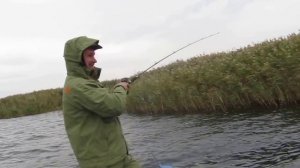Ловля щуки на джерк