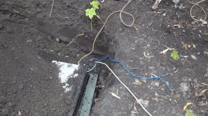 Бесплатное электричество из земляной батареи