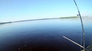 Летняя рыбалка. Рефтинское водохранилище. Товарищество рыбаков-любителей "Рассохи". Часть 2