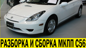 Toyota Celica ZZT230 Разборка и сборка МКПП C56 / Disassembly and assembly manual transmission C56