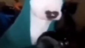 Собака бьёт по кастрюле мем