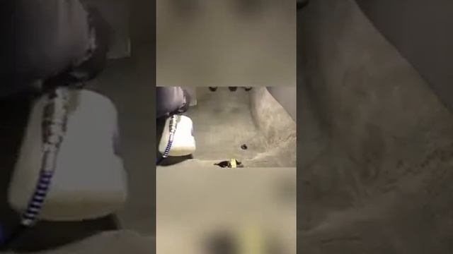 Химчистка Ауди а6 с4 смотреть онлайн