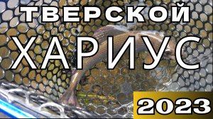 Ловля Хариуса в Тверской Области 2023.