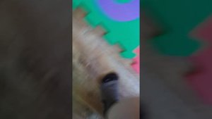 Как сделать лифт из картона для игрушек 🤔😊
