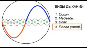 ДЫХАНИЕ ЗМЕИ = ОСТАНОВКА СТАРЕНИЯ