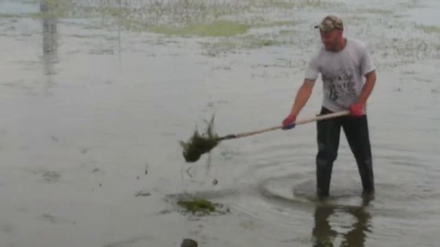 Граблями по реке Тобол. смотреть онлайн