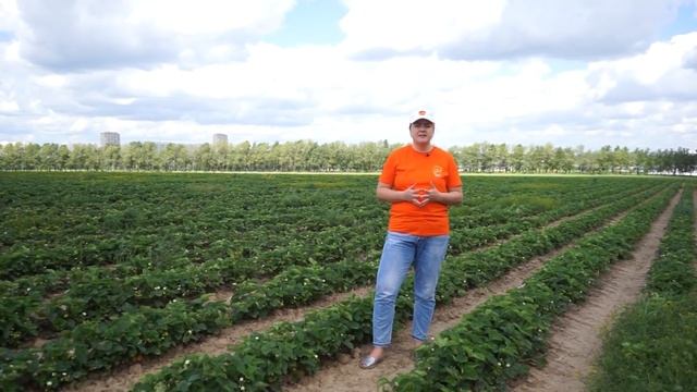 ЗАХВАТ СОВХОЗА ИМЕНИ ЛЕНИНА! Обращение жителей и рабочих к гражданам России. смотреть онлайн